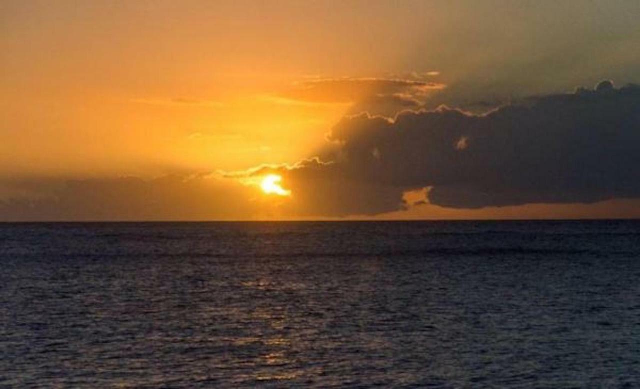 Au Soleil Couchant Deshaies Eksteriør billede